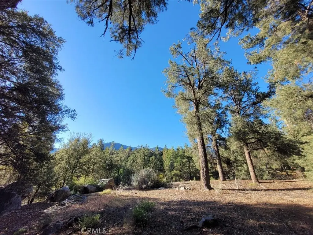 15913 Wildwood Drive, Pine Mountain Club, CA — listing photo 1