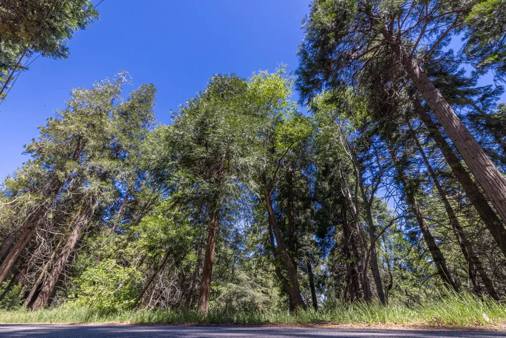 Lot 78 Cedar Pines Drive, Crestline, CA — listing photo 1