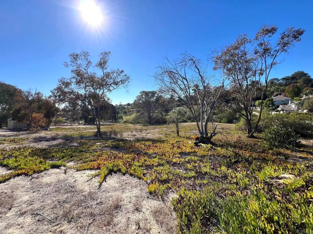Mays Hollow Lane, Encinitas, CA — listing photo 1