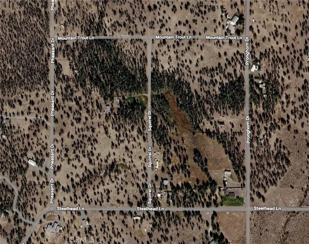 0 Pheasant Drive, Alturas, CA — listing photo 1