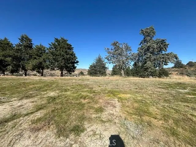 40007 92nd Street W, Leona Valley, CA — listing photo 1