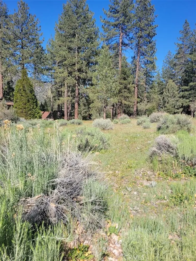 2612 Brentwood, Pine Mountain Club, CA — listing photo 1
