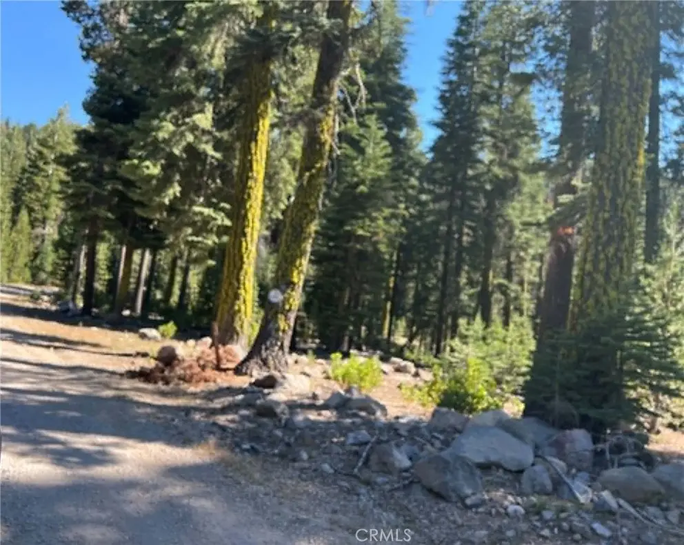 0 LOGGING Road, Viola, CA — listing photo 1
