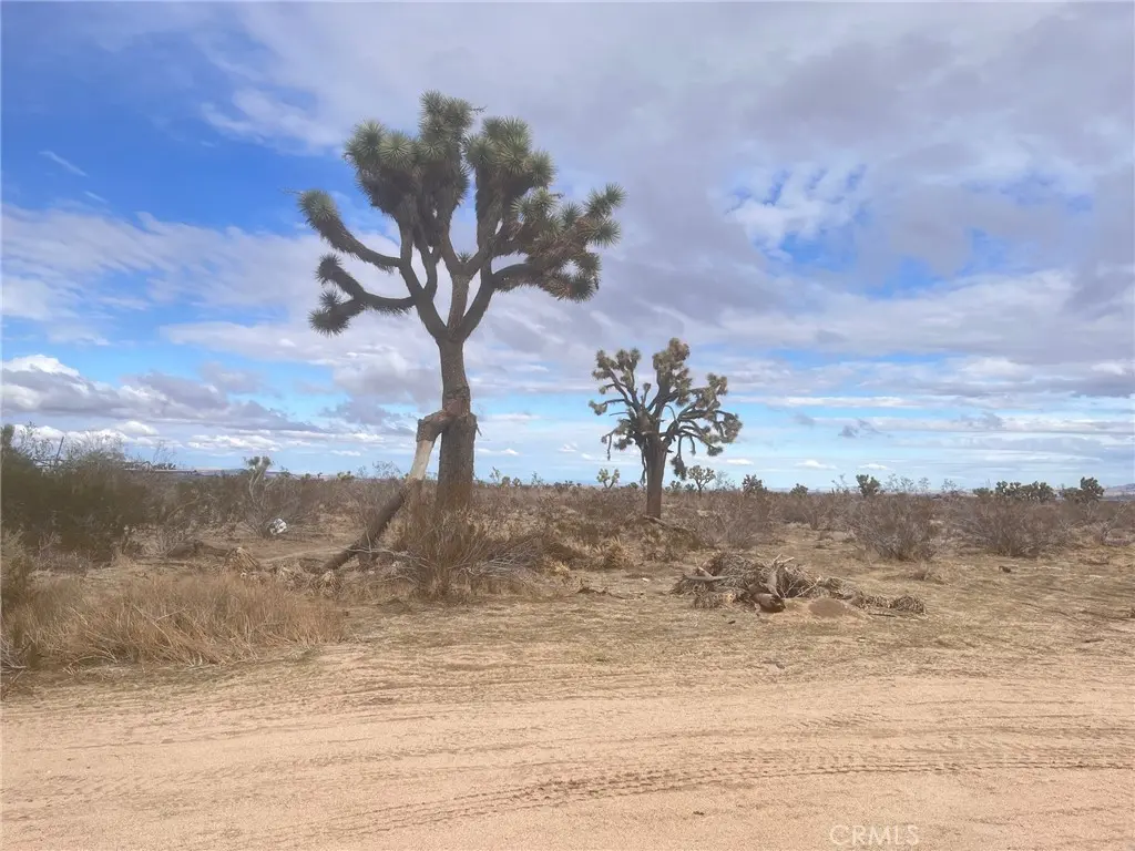 0 Dos Palmas Rd Road, Phelan, CA — listing photo 1