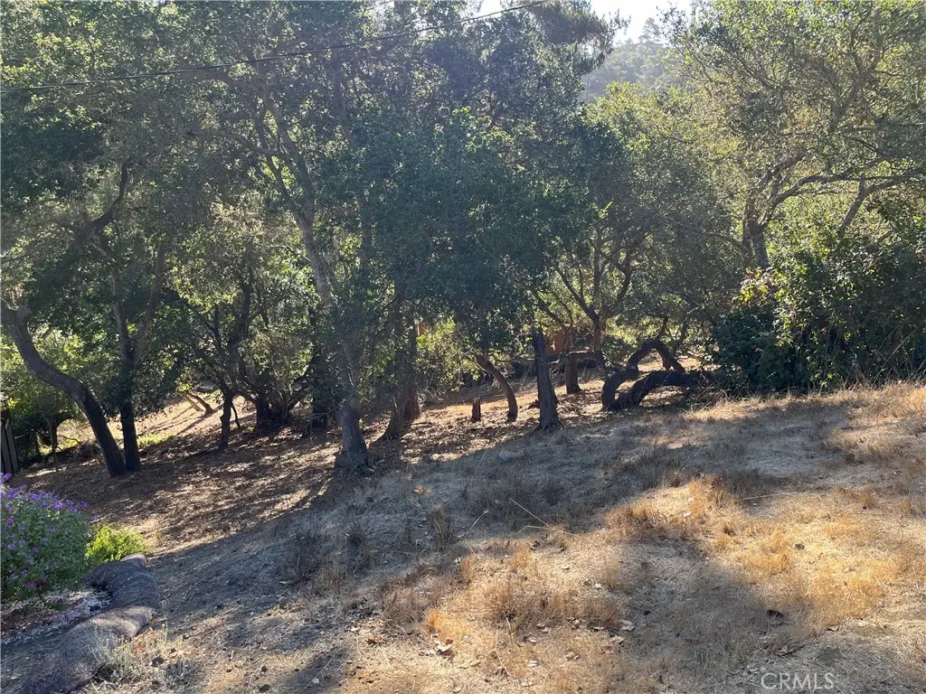 0 Bradford, Cambria, CA — listing photo 1