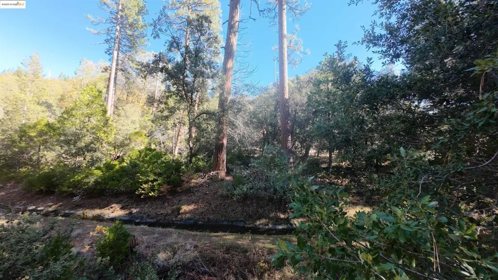 22443 Broken Bough Ln, Twain Harte, CA — listing photo 1