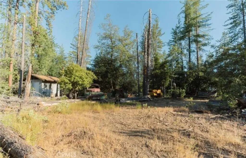 10902 Stout Lane, Coulterville, CA — listing photo 1