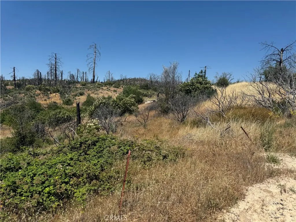 0 Sierra View, Berry Creek, CA — listing photo 1