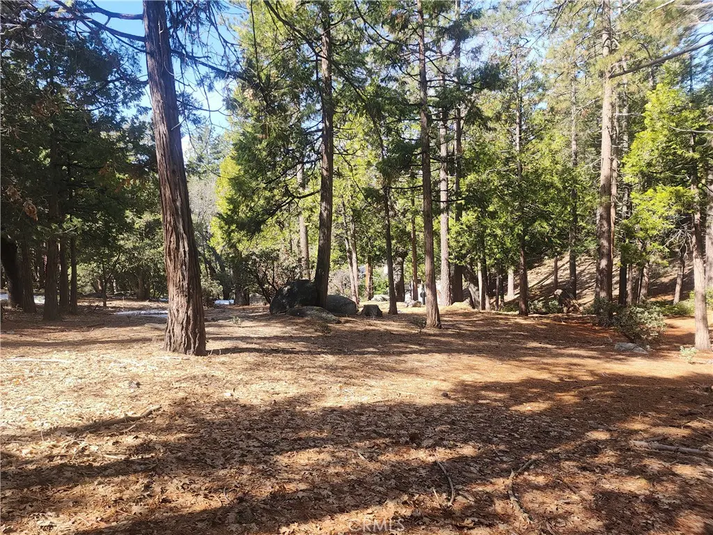 52547 Pine Cove, Idyllwild, CA — listing photo 1