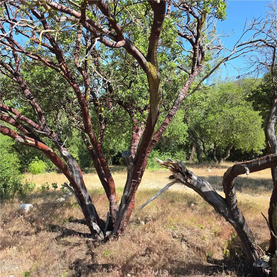 3367 3rd Street, Clearlake, CA — listing photo 1