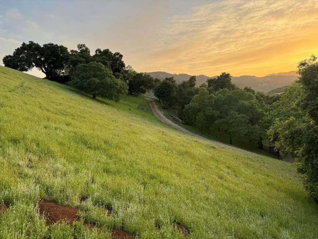 2328 Dahlberg Drive, Morgan Hill, CA — listing photo 1