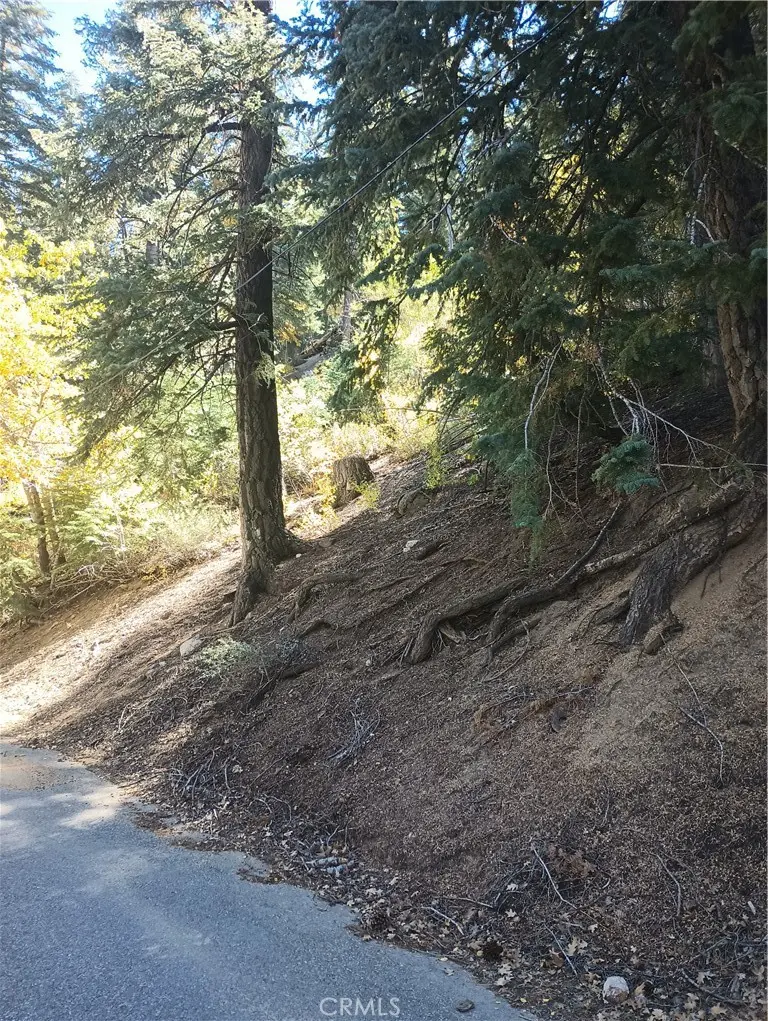 0 Cherry, Big Bear Lake, CA — listing photo 1