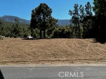 2045 Woodland Drive, Pine Mountain Club, CA — listing photo 1