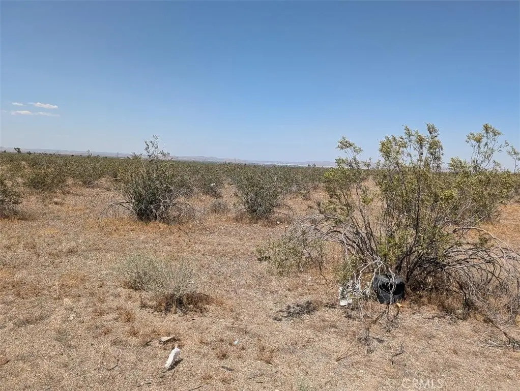 4 Blanco, Pinon Hills, CA — listing photo 1