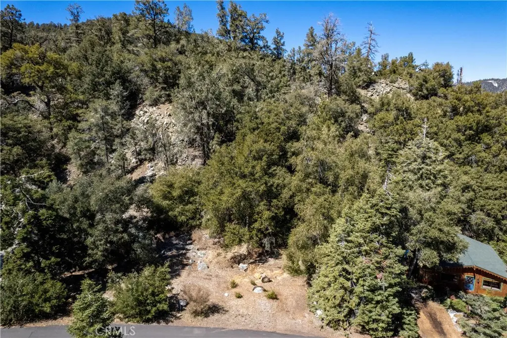 1301 Bernina Drive, Pine Mountain Club, CA — listing photo 1