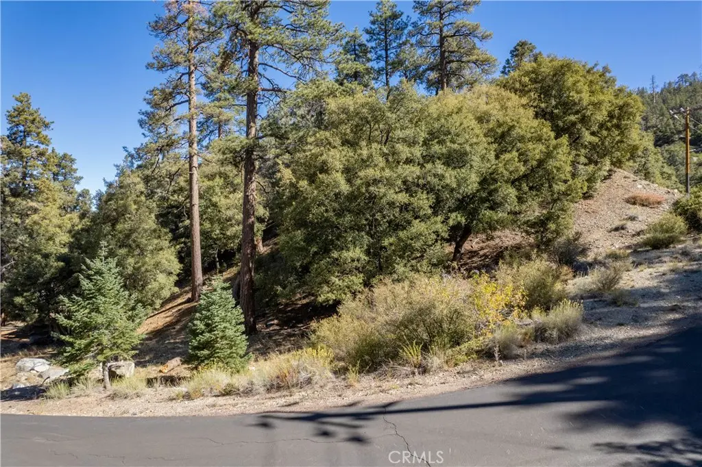 1216 Banff Drive, Pine Mountain Club, CA — listing photo 1