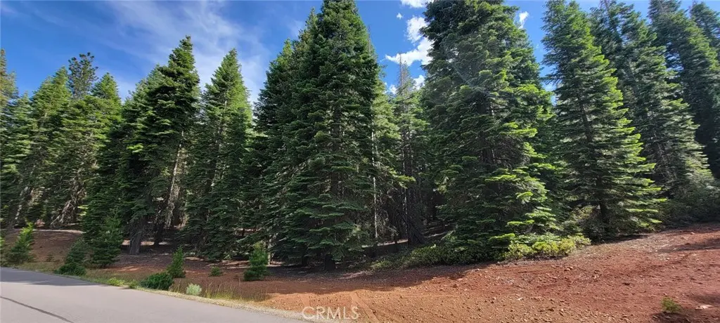 233 Snowy Peak, Lake Almanor, CA — listing photo 1