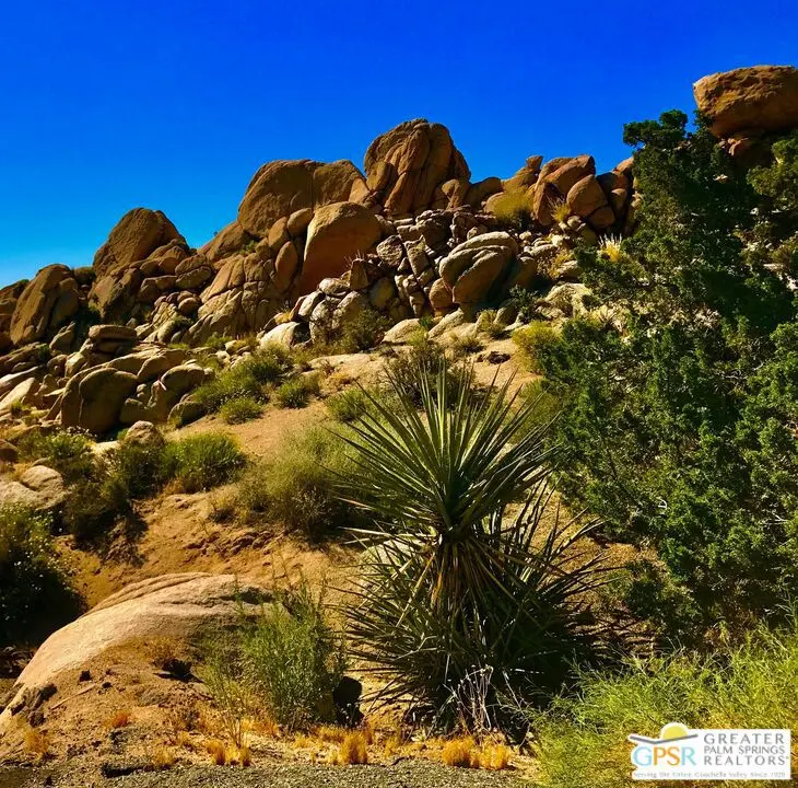 6220 Mirlo Court, Yucca Valley, CA — listing photo 1