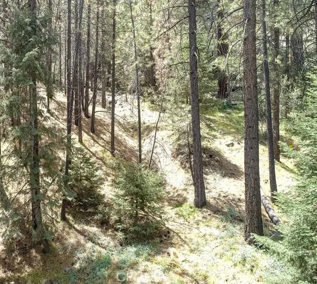 1316 Zermatt Court, Pine Mountain Club, CA — listing photo 1