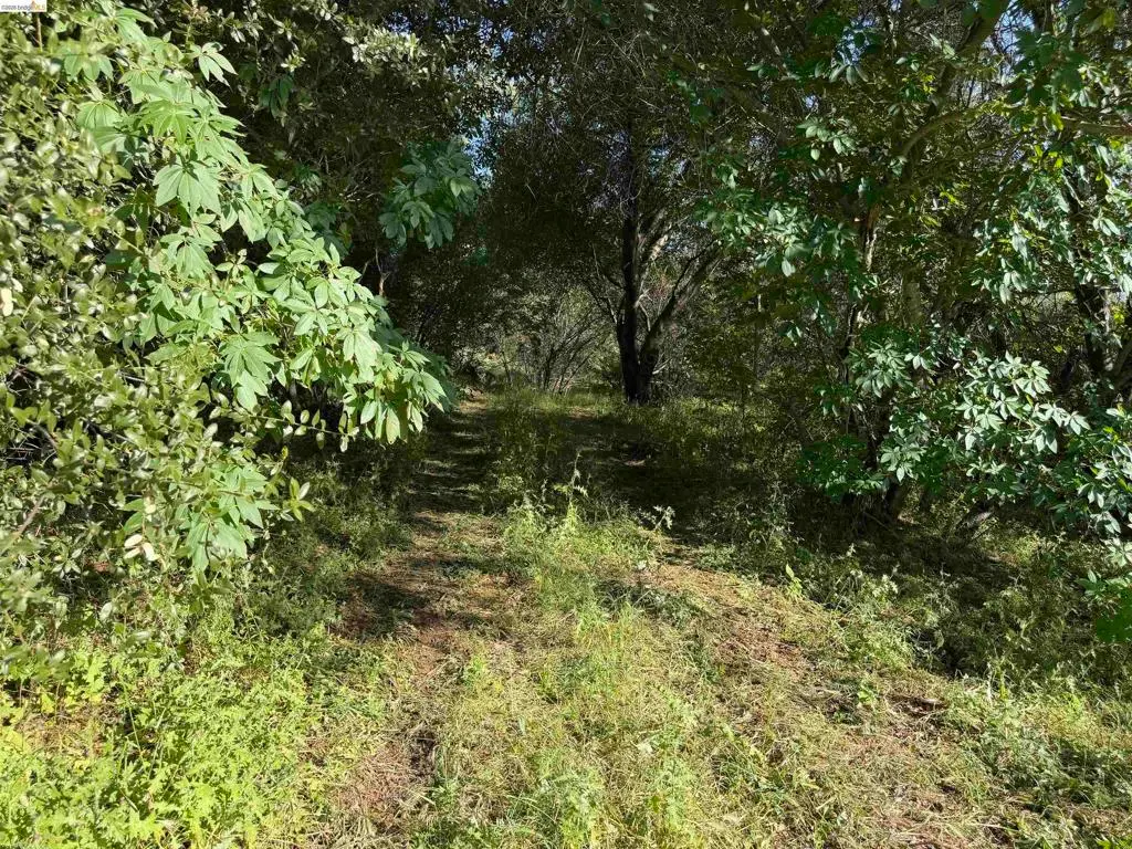 4320 Usona Rd, Mariposa, CA — listing photo 1