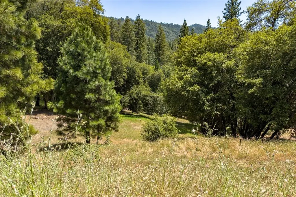 2397 Parmabelle, Mariposa, CA — listing photo 1