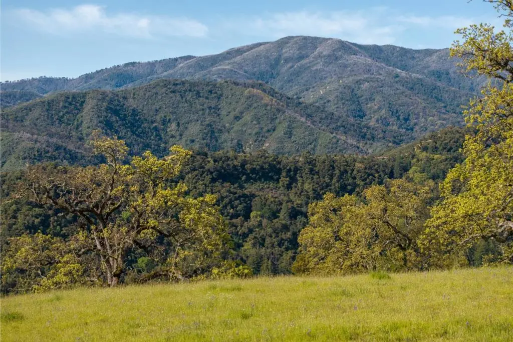 16 Long Ridge Trail (Lot 233), Carmel, CA — listing photo 1