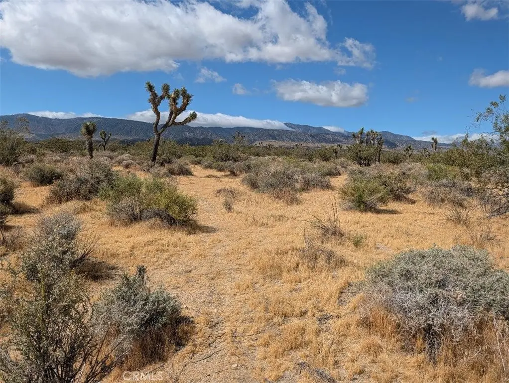 27 248th, Llano, CA — listing photo 1