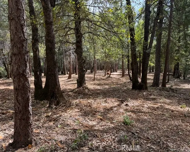 0 Platt Mountain Road, Forest Ranch, CA — listing photo 1