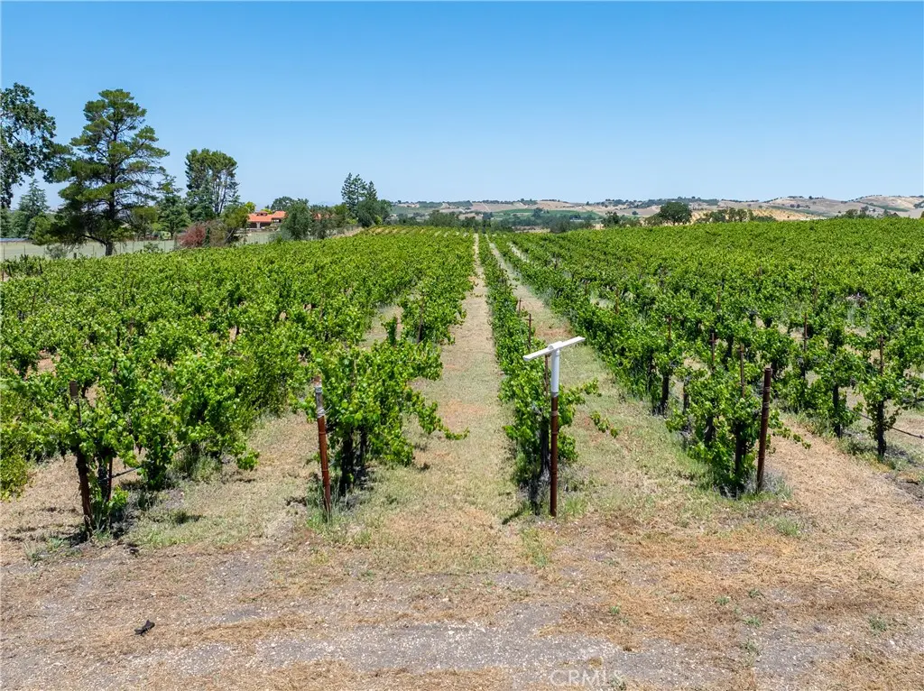 175 White Hawk, Templeton, CA — listing photo 1