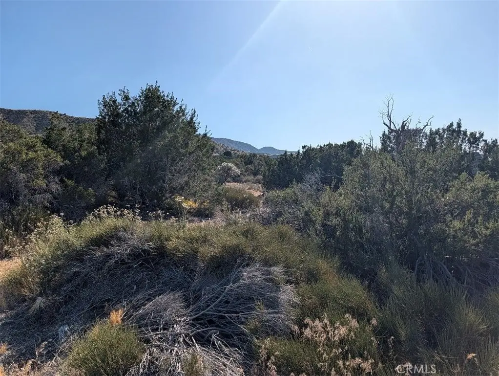 8 Mountain Road, Pinon Hills, CA — listing photo 1