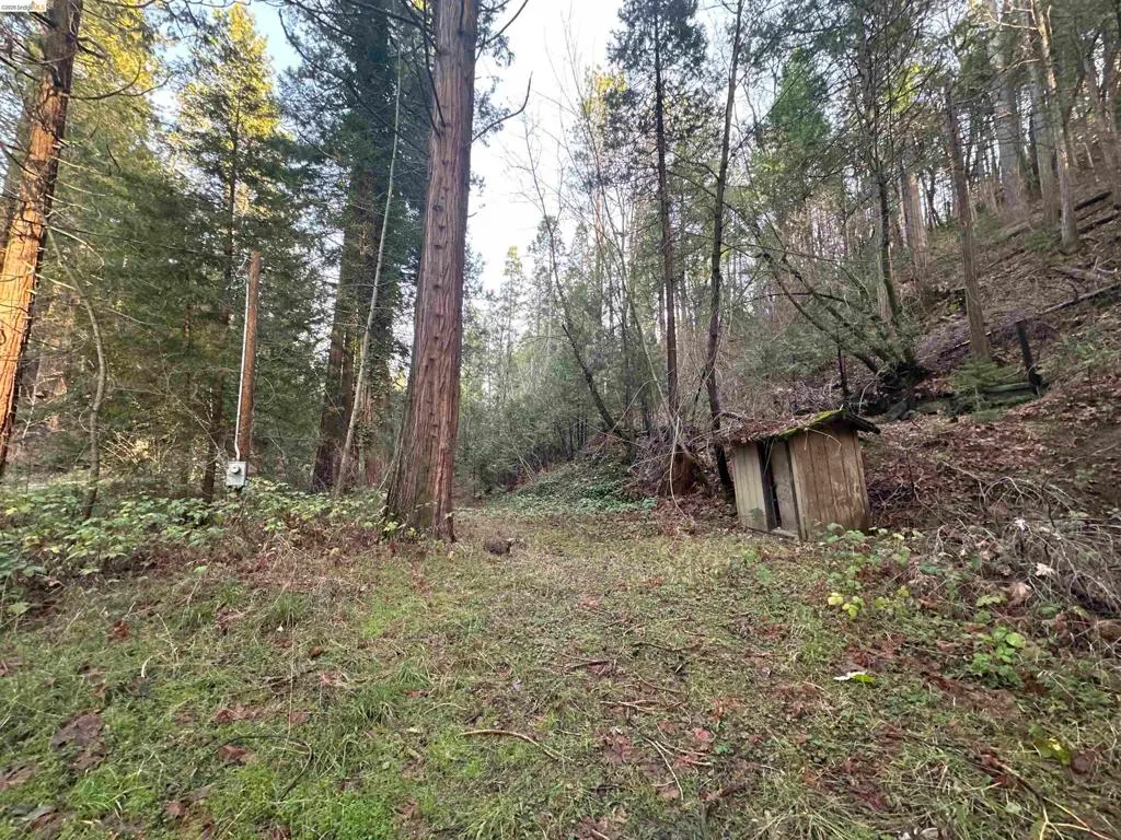 22895 S Fork Rd., Twain Harte, CA — listing photo 1