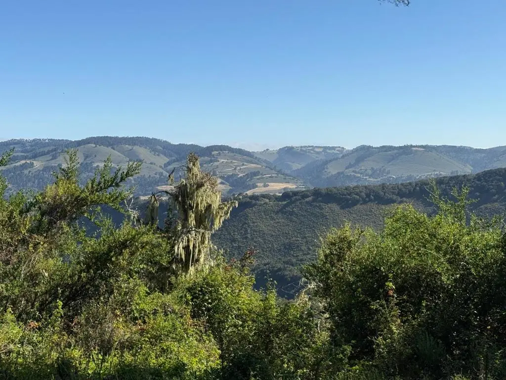 6 Rancho San Carlos (Lot E10) Road, Carmel, CA — listing photo 1