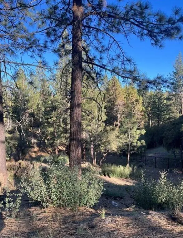 545 Division Drive, Big Bear, CA — listing photo 1