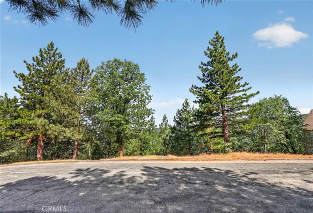 30308 Leprechaun, Running Springs, CA — listing photo 1