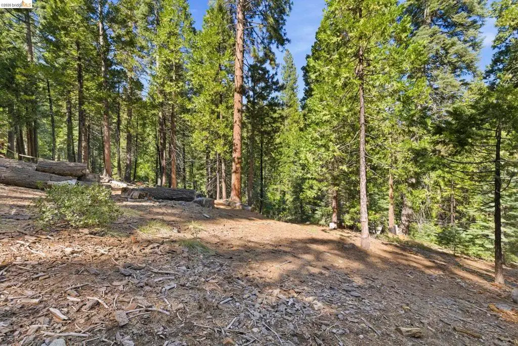 29646 Kerns Dr., Long Barn, CA — listing photo 1