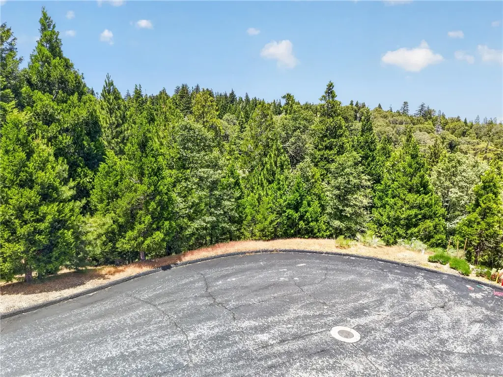 372 Redtail Hawk, Lake Arrowhead, CA — listing photo 1