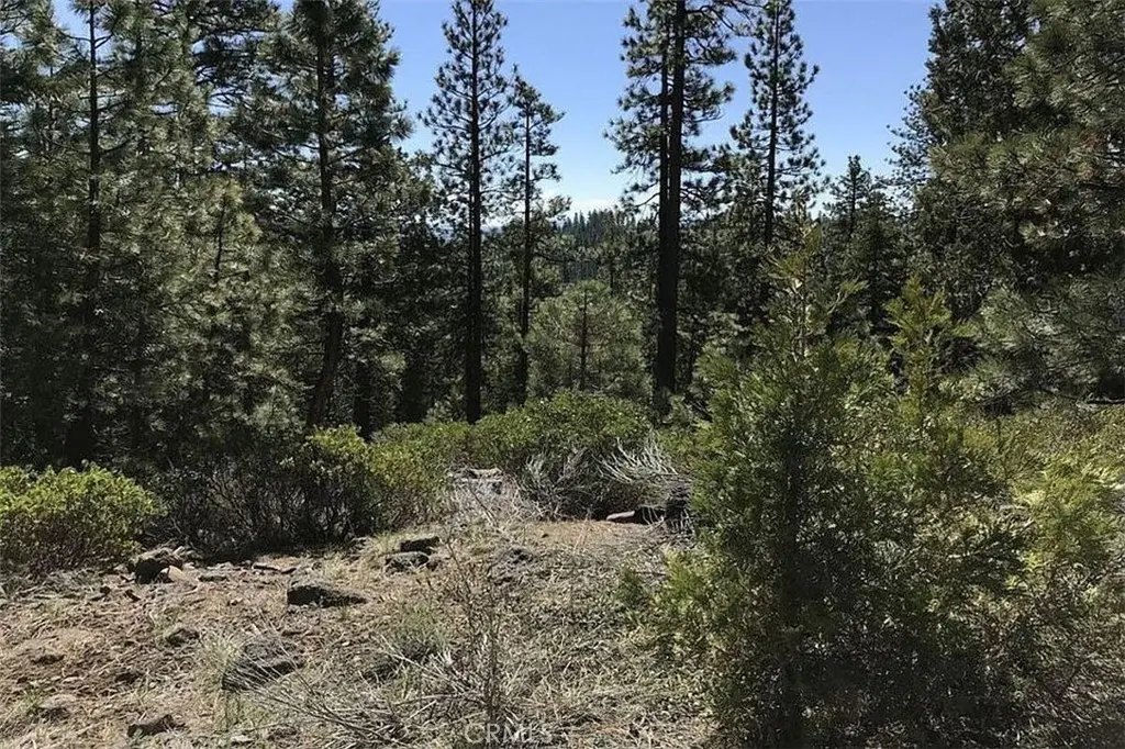 0 Falcon Road, California Pines, CA — listing photo 1