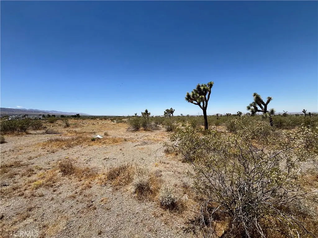 0 Danbury Road, Pinon Hills, CA — listing photo 1