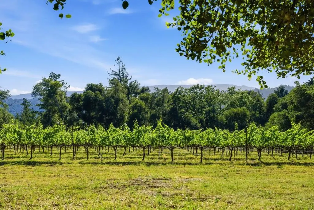 0 Miller Hill Road, Los Gatos, CA — listing photo 1