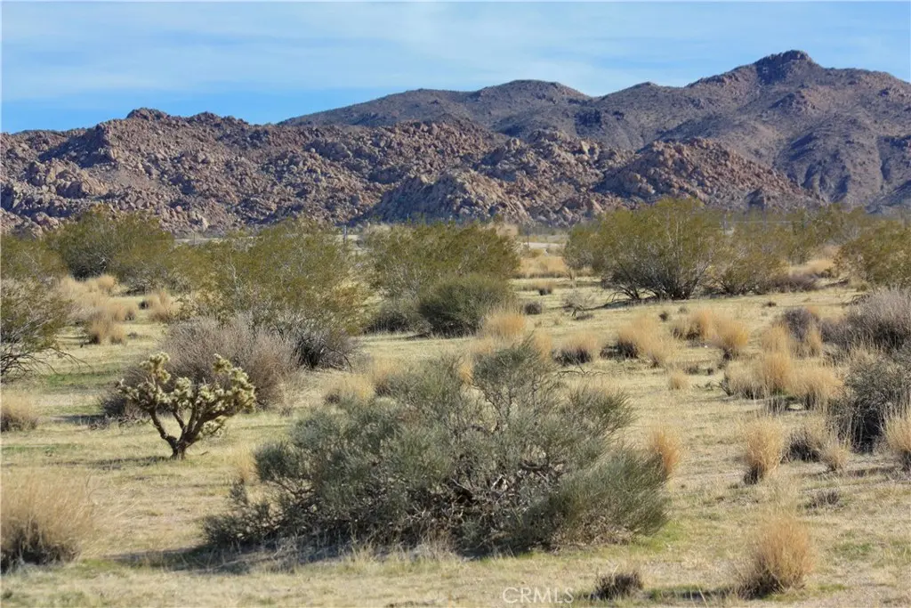 7130 Sunfair Road, Joshua Tree, CA — listing photo 1