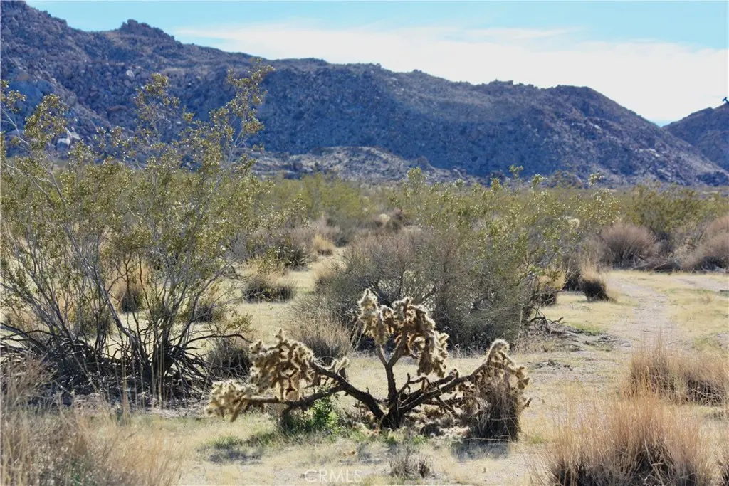 64647 Foothill Drive, Joshua Tree, CA — listing photo 1