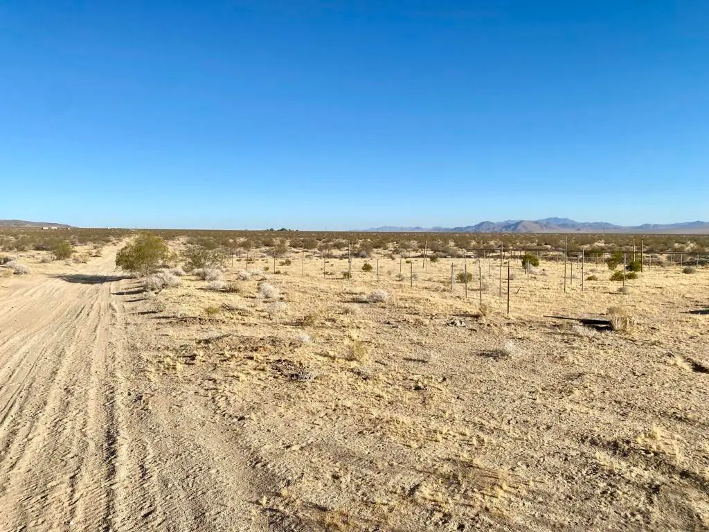 104 Joshua Tree Road, Johnson Valley, CA — listing photo 1