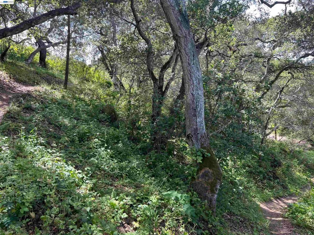 00 Marburger Ave., Belmont, CA — listing photo 1
