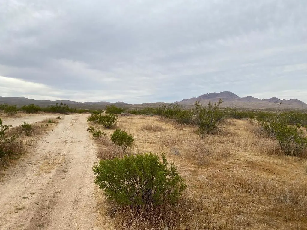 19 Hwy 395, Other, CA — listing photo 1