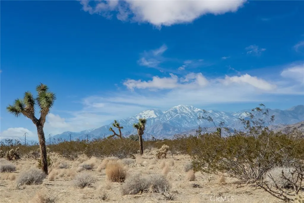 2222 Valley Vista, Johnson Valley, CA — listing photo 1