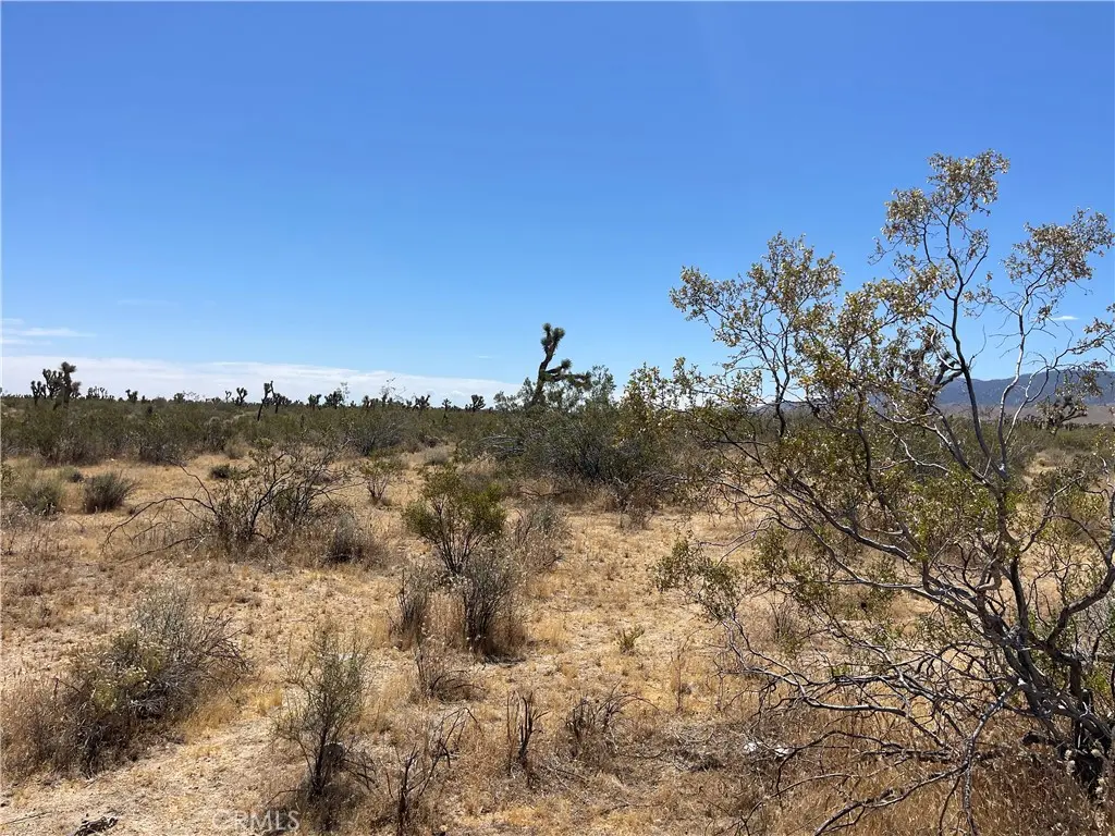 0 213th, Llano, CA — listing photo 1