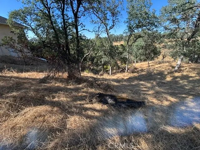 19932 Freshwater Drive, Cottonwood, CA — listing photo 1