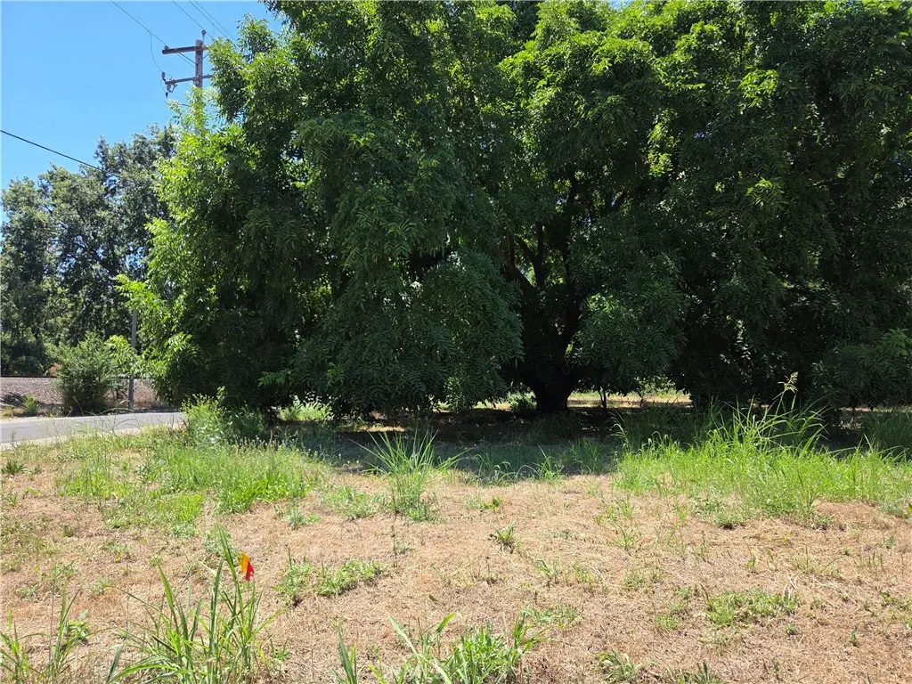 0 N. 2ND, Tehama, CA — listing photo 1
