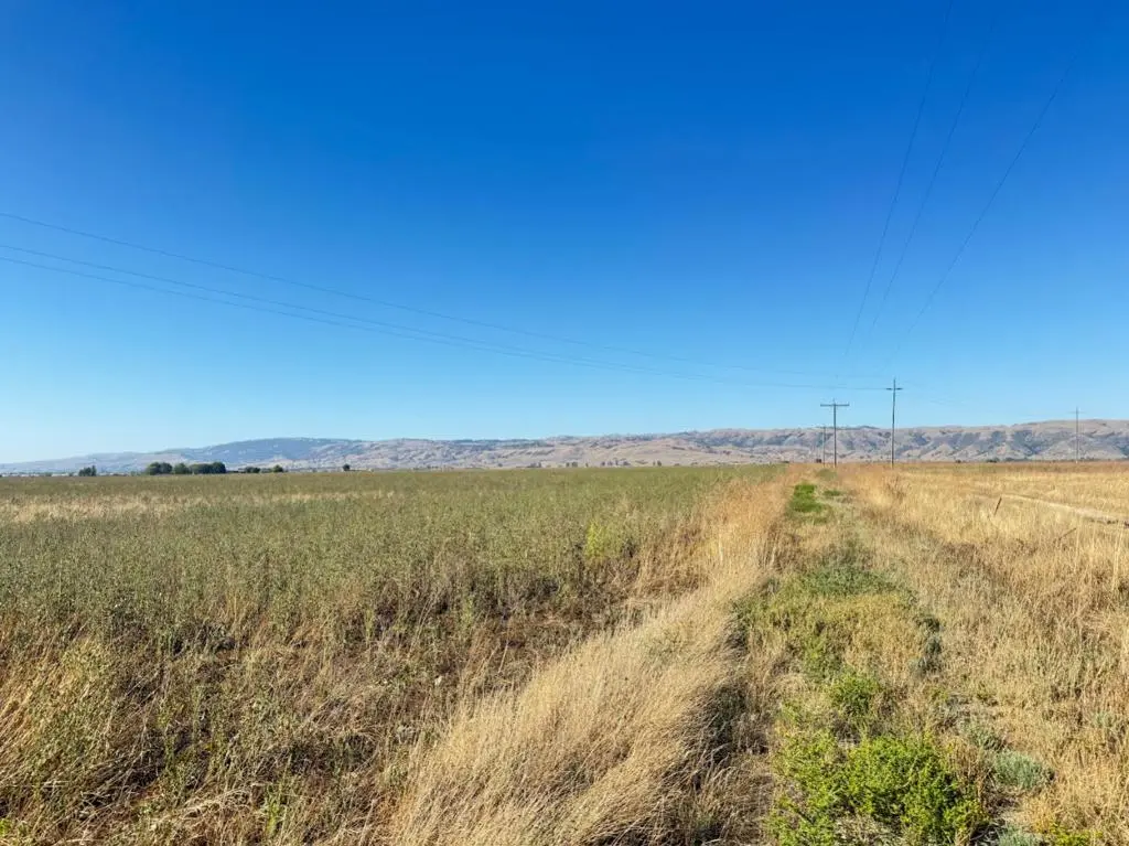 0 Bolsa Road, Hollister, CA — listing photo 1