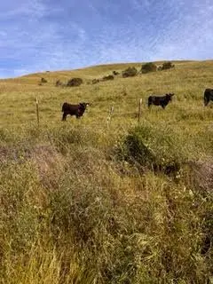 1 Little Merrill Road, San Juan Bautista, CA — listing photo 1